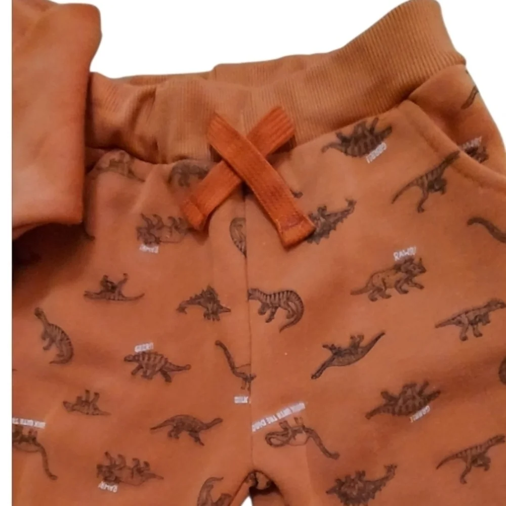 NWT Free Planet 2-Piece Dinosaur Jacket & Jogget Set ~sz 4T